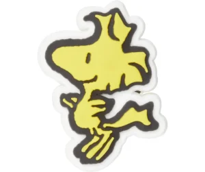 Peanuts® Woodstock®