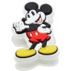 Disney Mickey Mouse Character