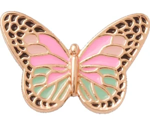 Elevated Colorful Butterfly