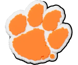 Clemson University