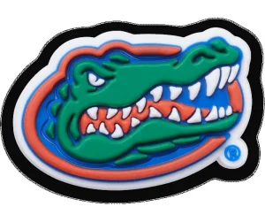 University of Florida