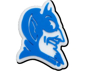 Duke University