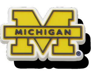University of Michigan
