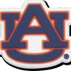 Auburn University