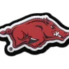 University of Arkansas