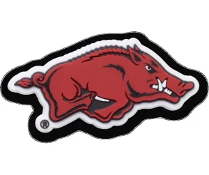 University of Arkansas