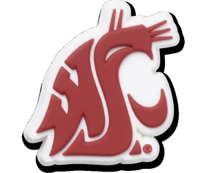 Washington State University