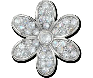 Silver Monochrome Daisy