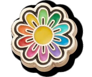 Festival Gold Rainbow Daisy
