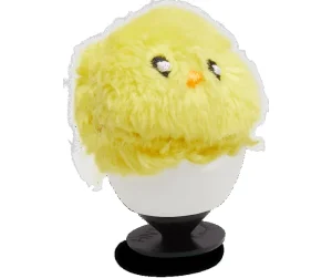 Chick In Egg