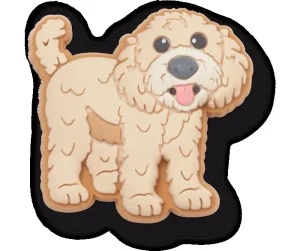 Golden Doodle Puppy