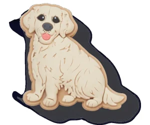 Golden Retriever Puppy